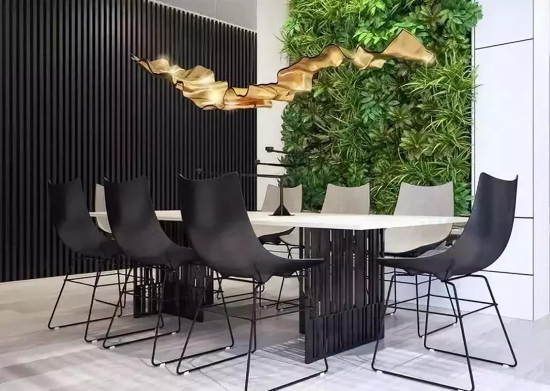 墙上种什么植物最好,景观墙上盆栽什么好看