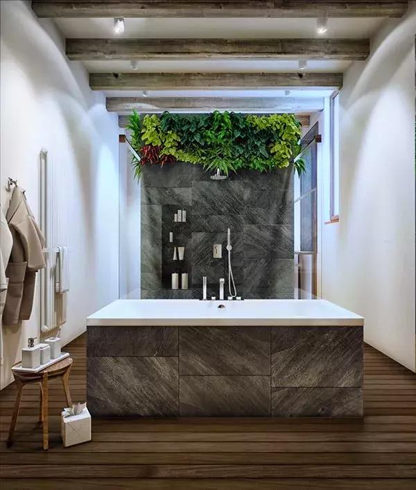 墙上种什么植物最好,景观墙上盆栽什么好看