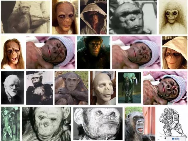 人和灵长类能产生后代吗,灵长类动物杂交会有后代吗