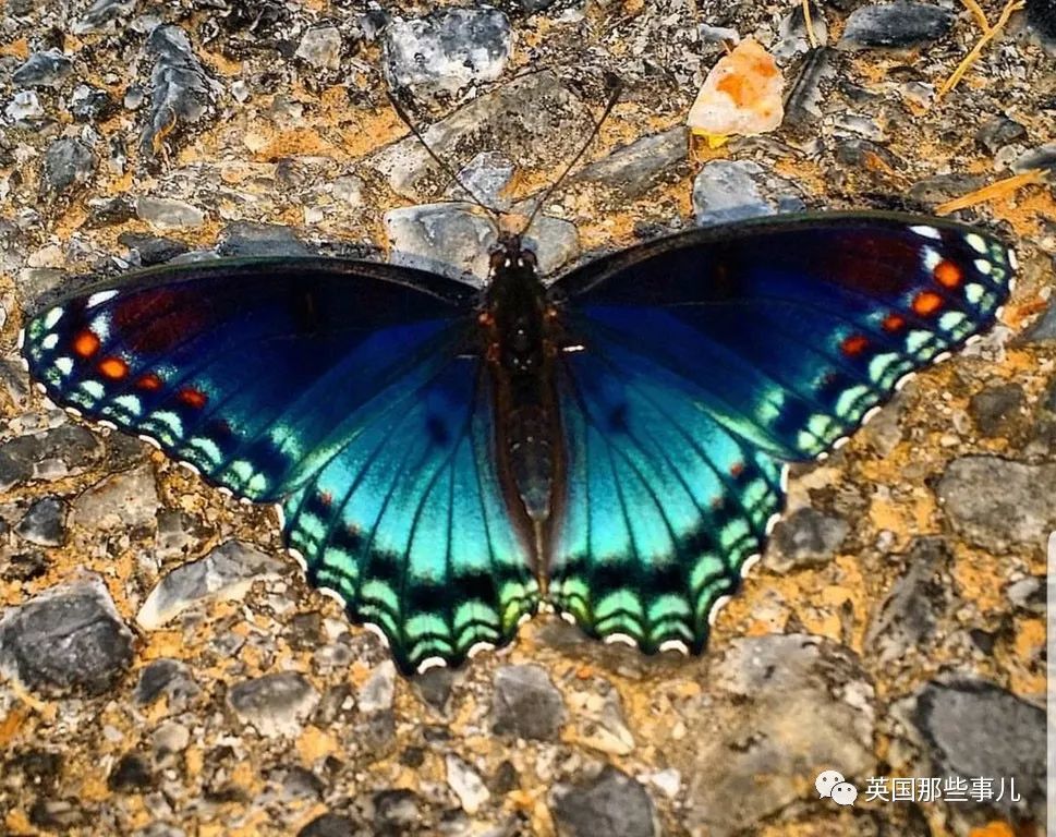 一波强迫症治愈图正在向你袭来，看完神清气爽有木有～