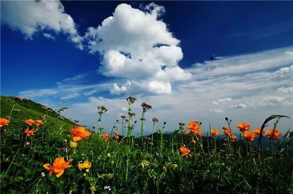 免费半价全国景点大优惠来啦,邯郸5月份免门票景区