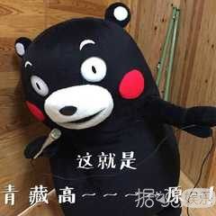 最豪华足球场草坪,足球场豪宅