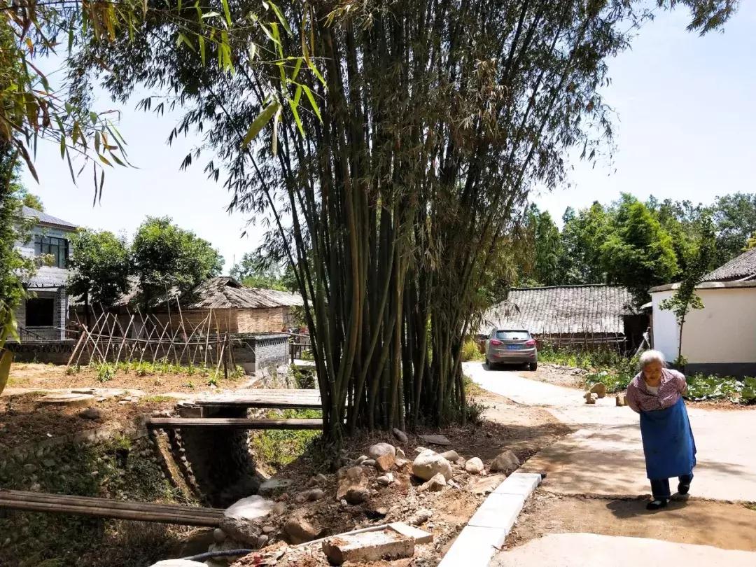 我去了成都向西50里的桃源村，朋友问我是不是去了日本？