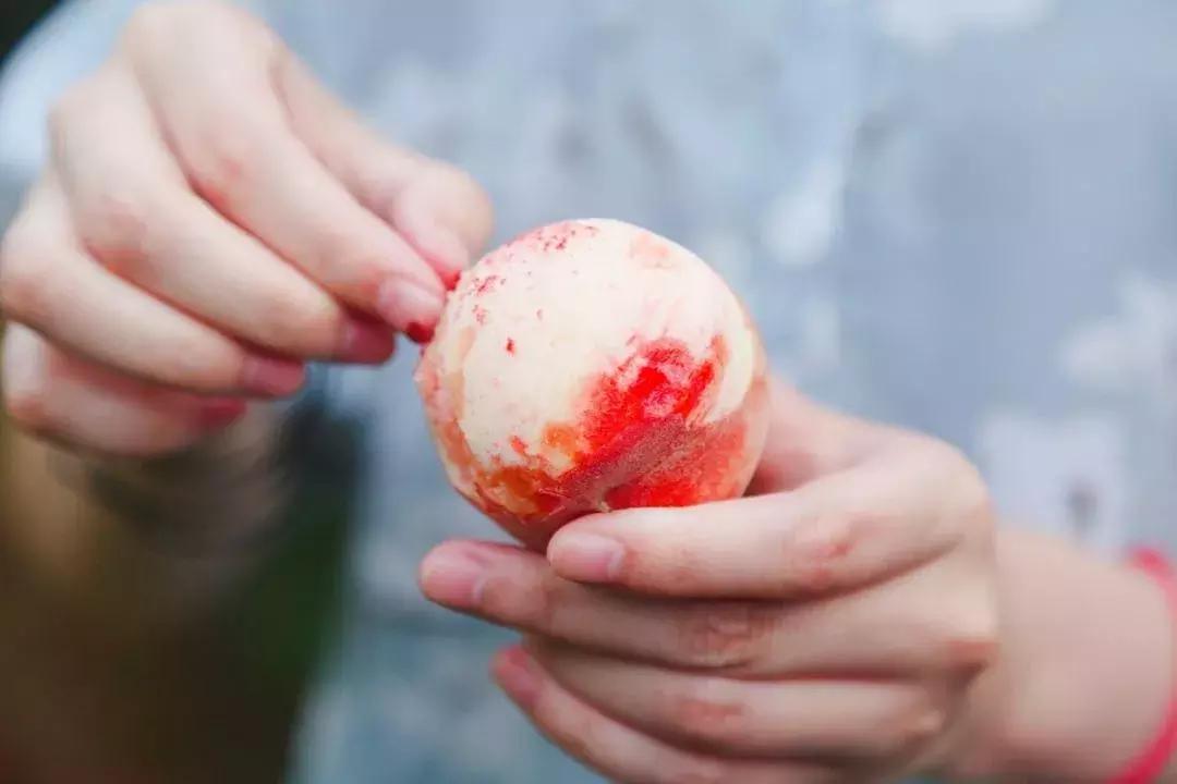 清甜爽脆的台湾甜桃已开采摘啦！30元任摘任吃！速度约起来！