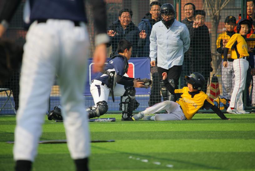 看mlb棒球联赛直播,棒球mlb直播