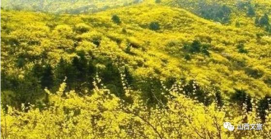 安泽县荀子文化园景区,临汾去安泽荀子文化园路好走吗