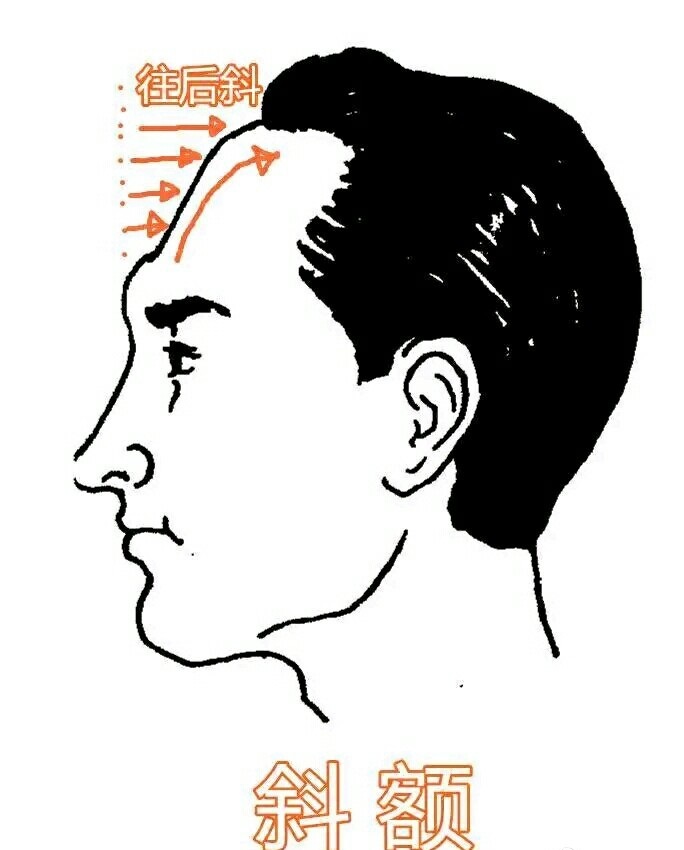 额头高但是额头窄的女人面相,额头两侧比额头中间低面相