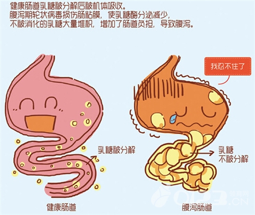 便秘、腹泻用到这些药，了解对你有很大的帮助