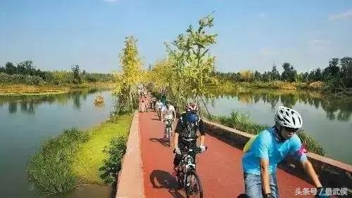 成都市体育馆免费开放时间表,成都体育馆免费时间