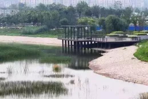 郑州有什么好玩的地方免费开放,郑州好玩的免费景点