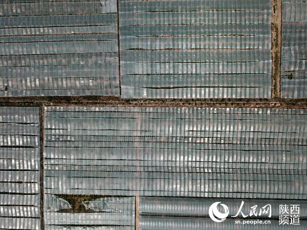 大荔县美丽乡村成果,大荔乡村振兴工作