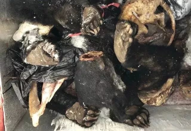 海外代购的荒唐陷阱,代购十大骗局揭秘图