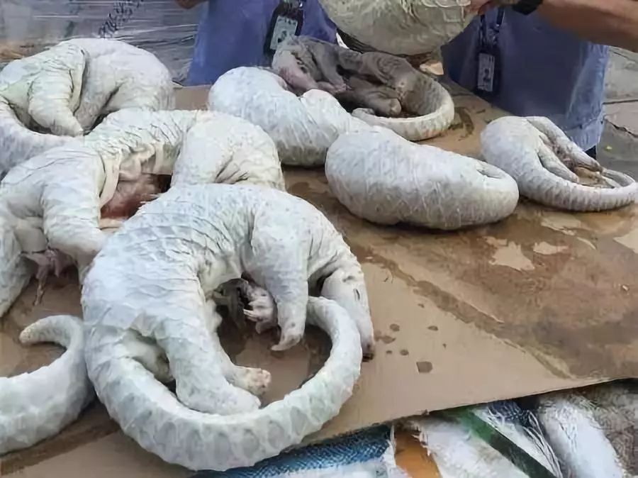 代购骗局揭秘朋友圈,朋友圈里卖低价服装的真相