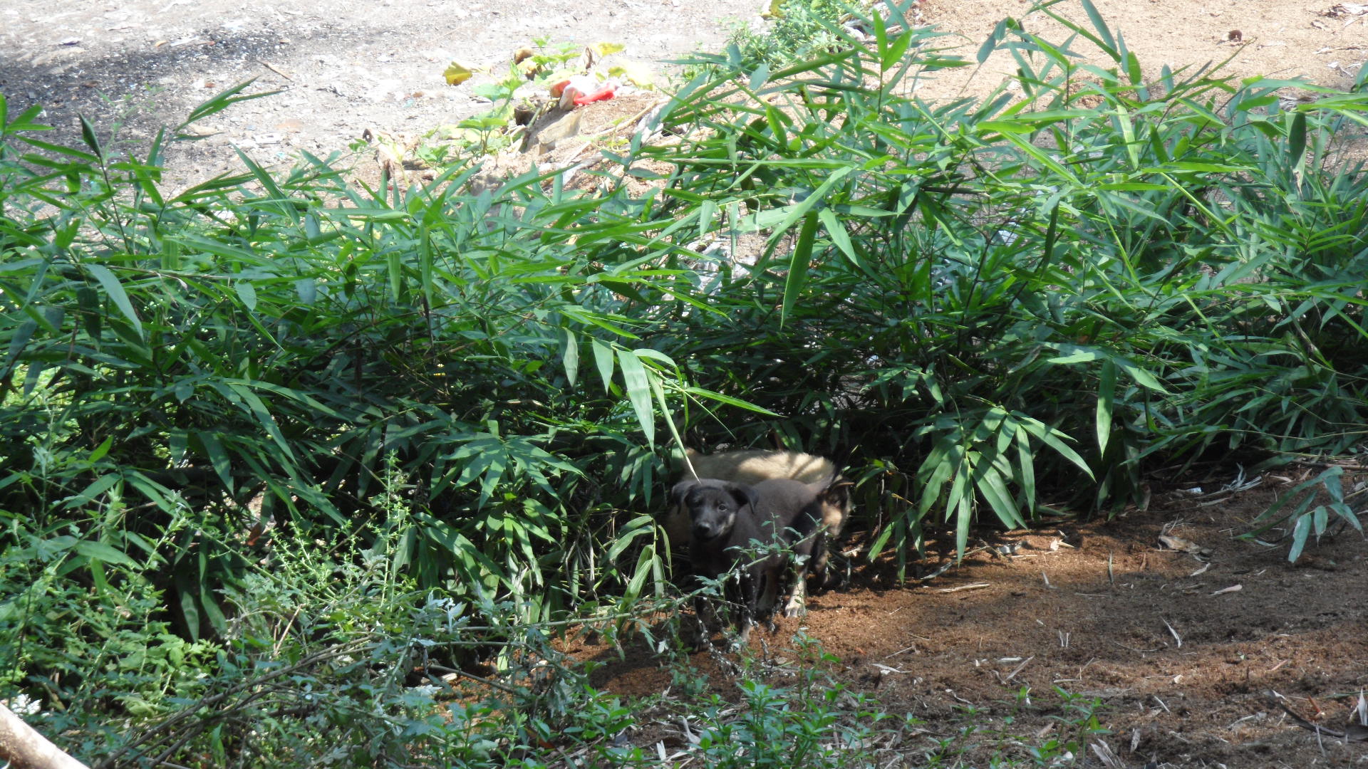 徒步旅行记录全集,乐山徒步旅行记