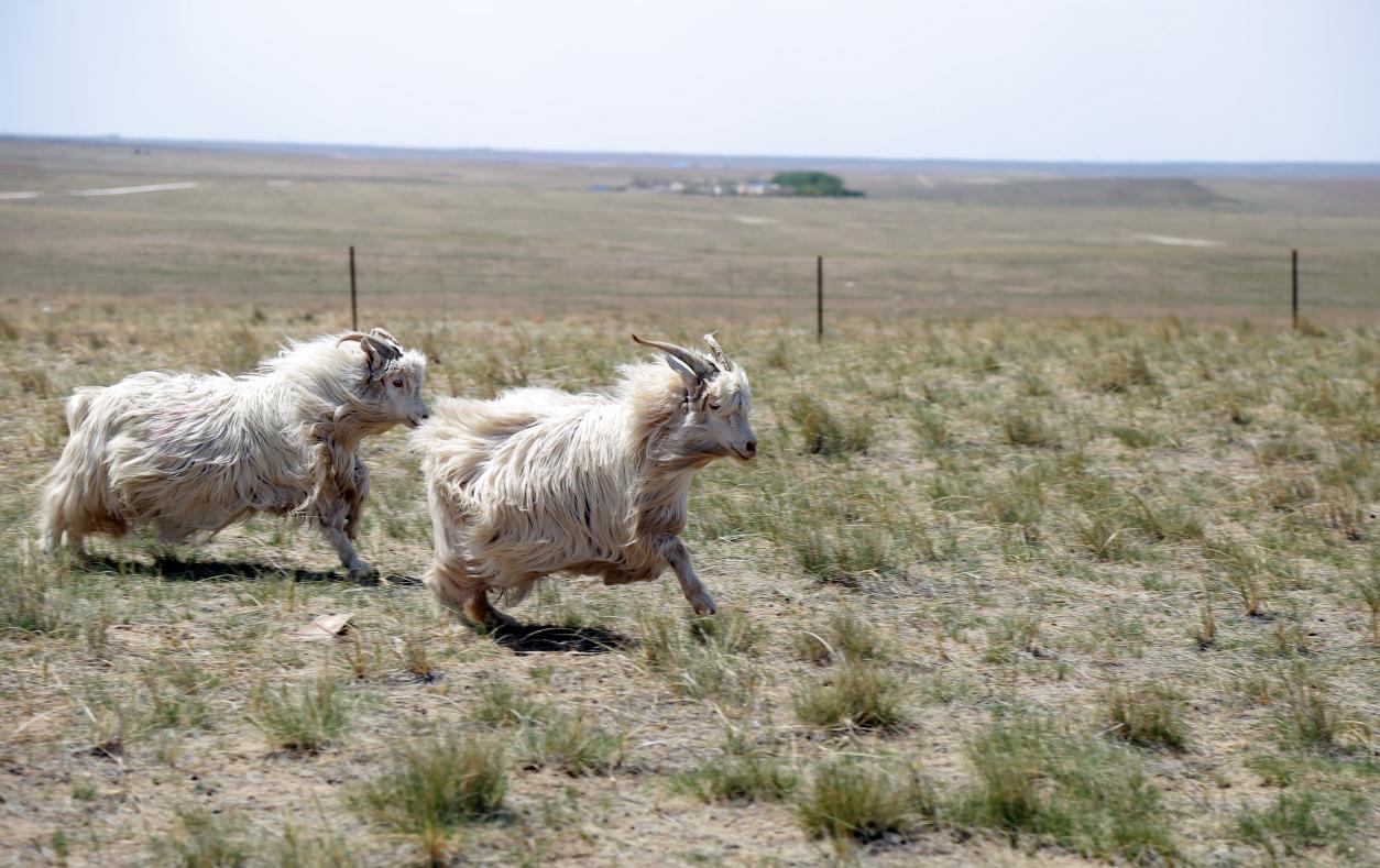 从西安出发，揭秘一个品牌改写城市的传奇故事！