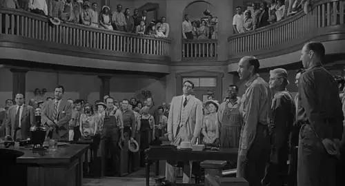 愿你有杀死一只知更鸟的勇气,杀死一只知更鸟爱说闲话的人