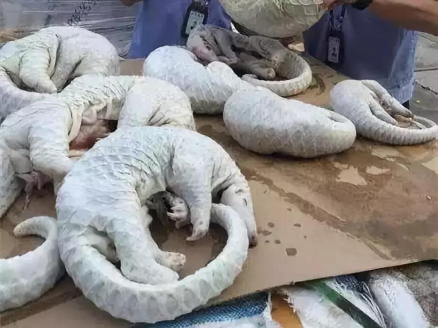 代购骗局揭秘朋友圈,代购骗局朋友圈