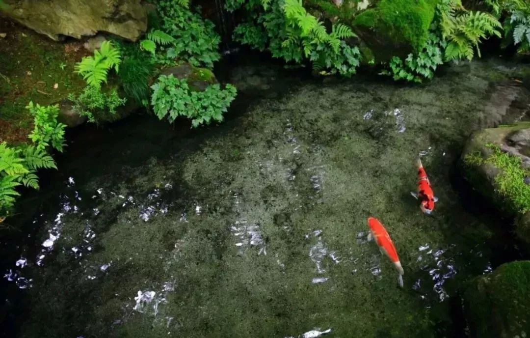 必背超长十大经典古文,公认最难背的十篇古文你认同吗