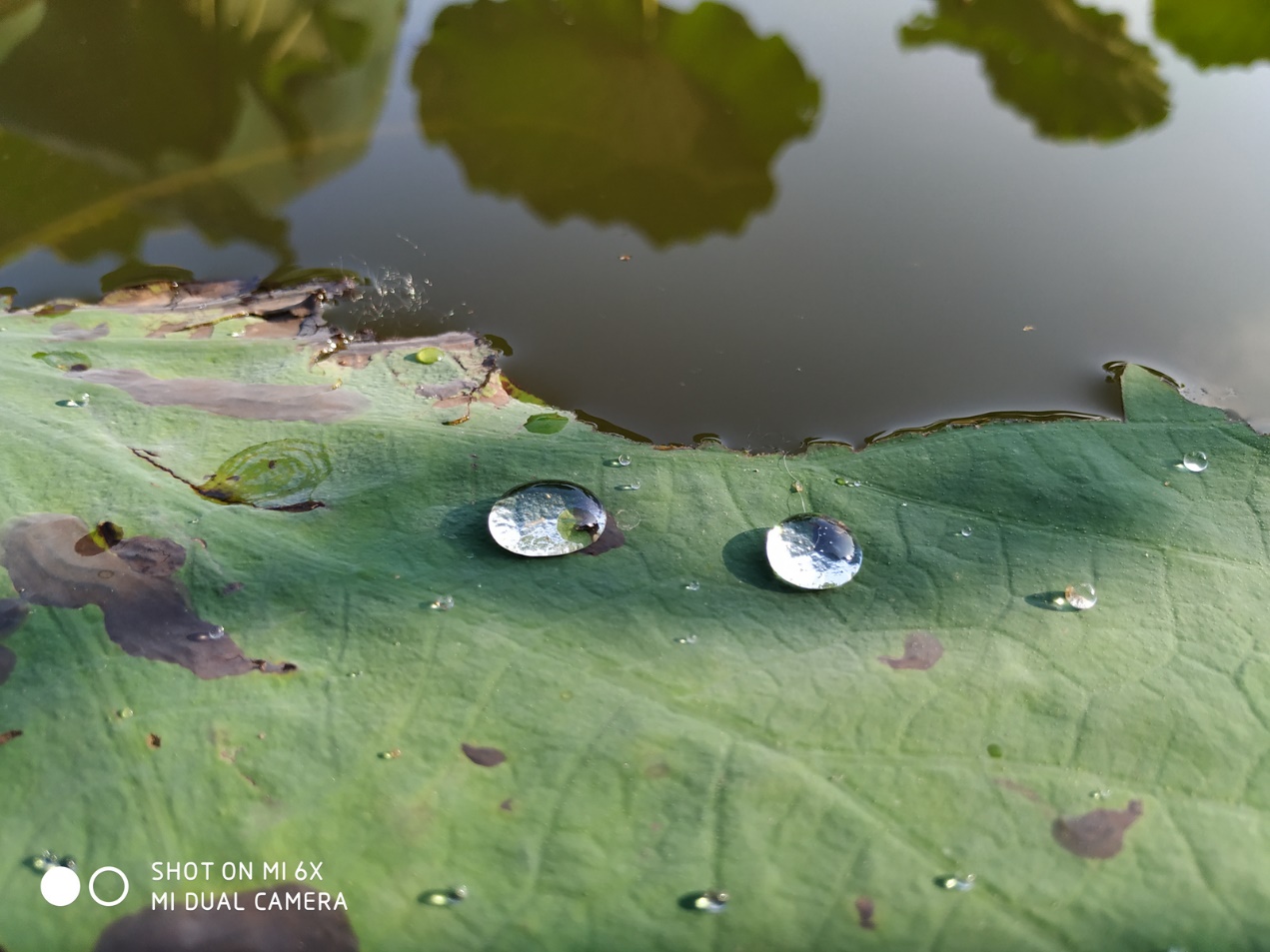 小米6x拍照设置技巧,小米6x拍照好还是红米k40拍照好