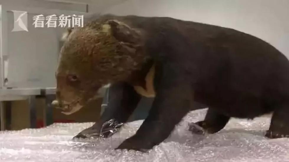 代购骗局揭秘朋友圈,代购背后的骗局