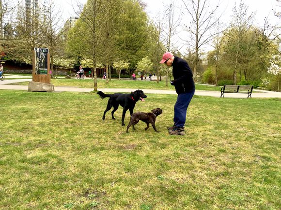 末代帝王的悲惨下场,末代皇帝的悲惨下场