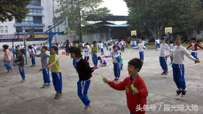 新洲三店学校,武汉新洲三店小学