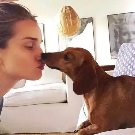 维密超模未婚生育 (维密未婚产子的女人)