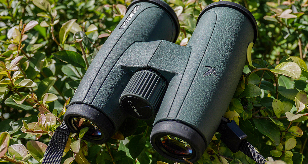 哪个国家的施华洛世奇便宜,为什么施华洛世奇那么便宜