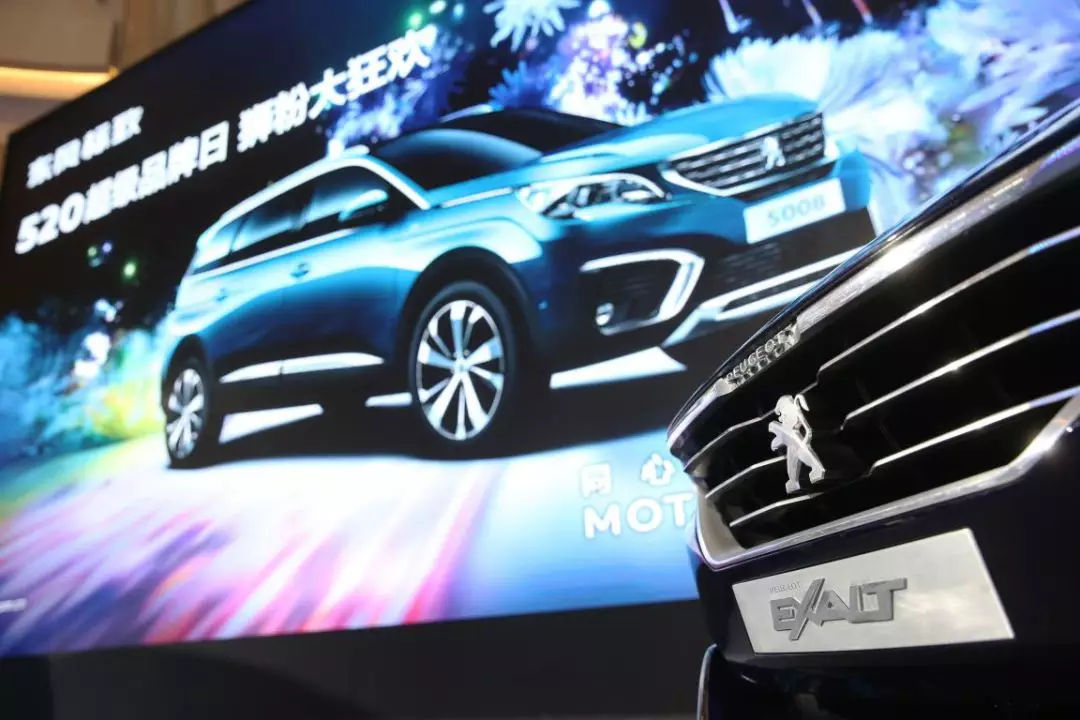 1对255万的表白，小狮子的爱你感受到吗？