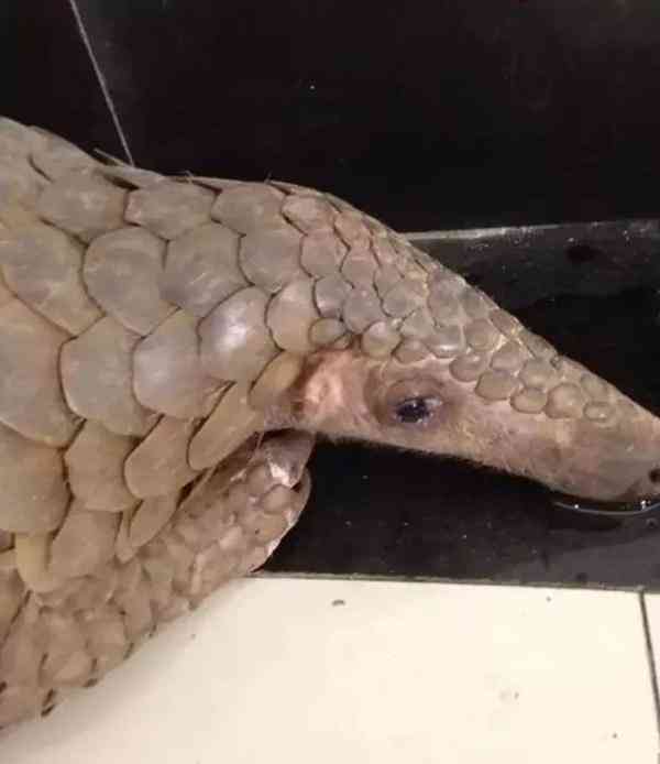 朋友圈里卖低价服装的真相,朋友圈代购低价套路