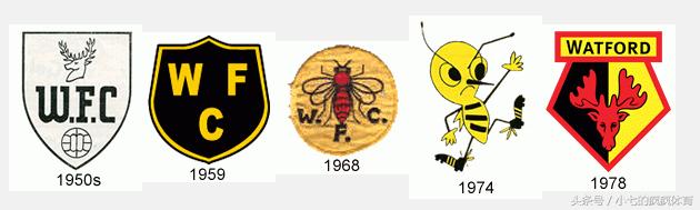 英超各队队徽视频,2018-2019英超球队队徽