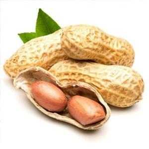 一般人不知道的科普冷知识,给大家普及一下冷知识