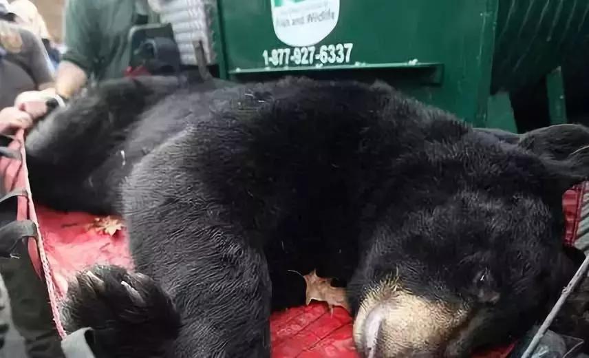 揭露各种海外代购真相,代购骗局朋友圈