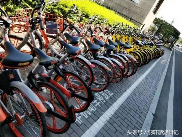 共享单车忘记关锁要赔近千元,共享单车忘记锁而欠费