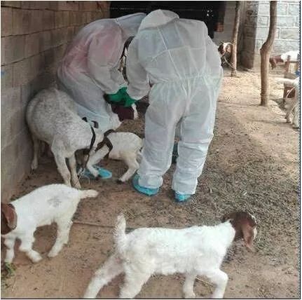 撸串的后遗症,撸串危害