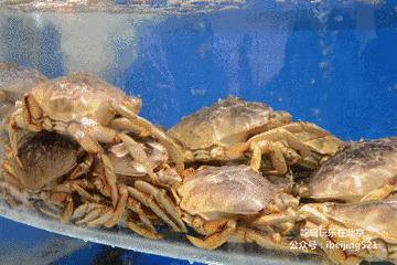 北京最大的进口超市,北京最新进口超市在哪里