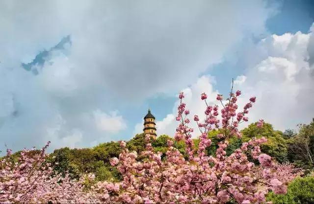 镇江跟青岛哪个城市比较好,镇江市在哪个城市