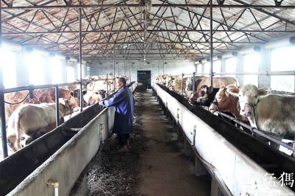 县之使命上蔡│首创“*党**建系数”当秤砣工作干咋样一称就明白