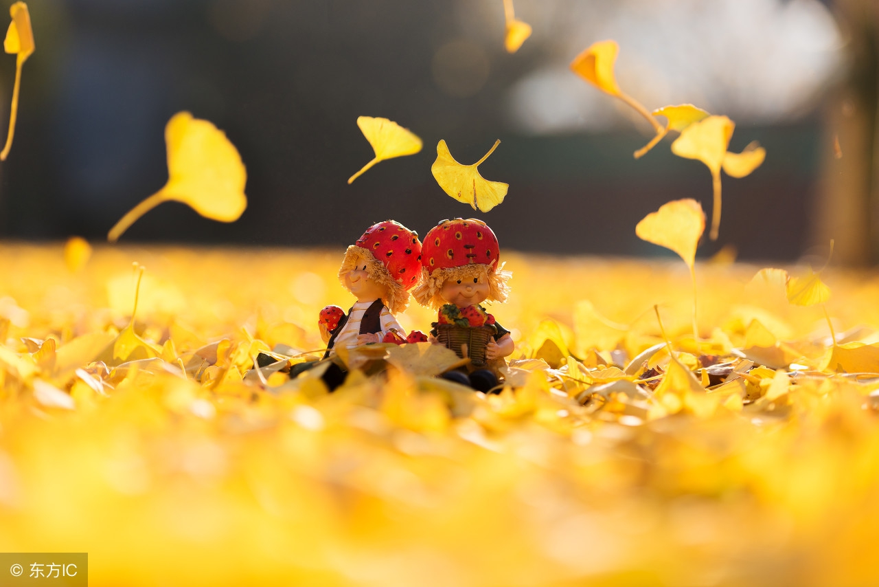 加工皮蛋的最佳温度是多少,皮蛋冷藏室温度