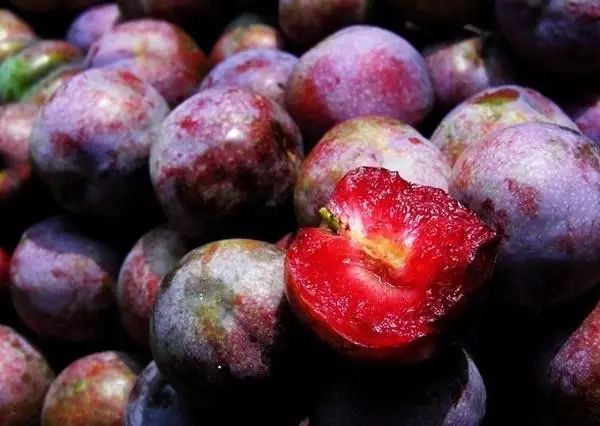 江湛高铁湛江站,江湛铁路湛江