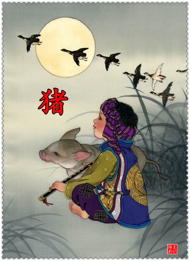 十二生肖运势与财运图表大全集,十二生肖的命运和财运图解