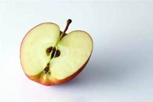 茄子不能蒸怎么凉拌,茄子不能放什么调料