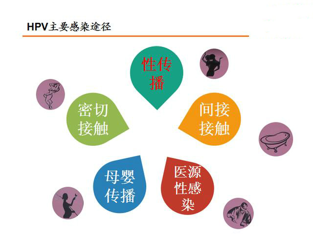 辛舒医生科普,辛舒