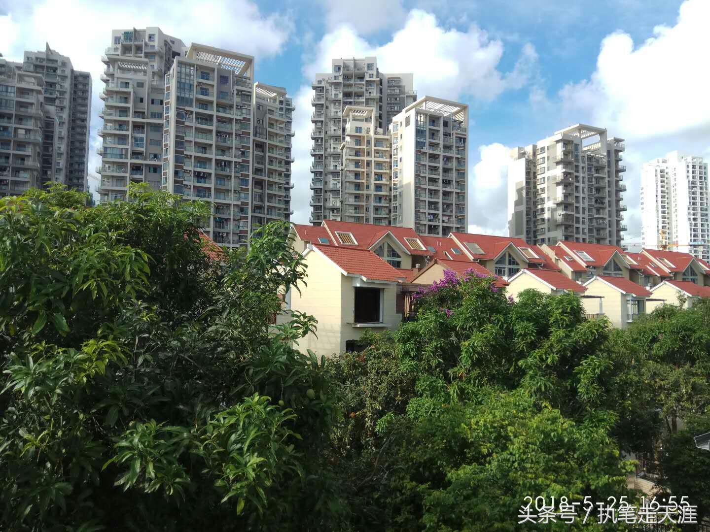 广东夫妇年入30亿,广东夫妇赚1亿