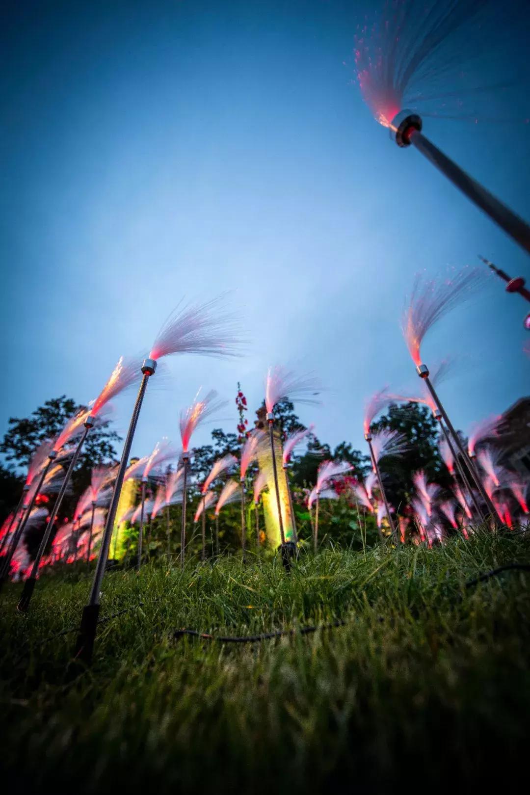 南艺爆料,南艺日常