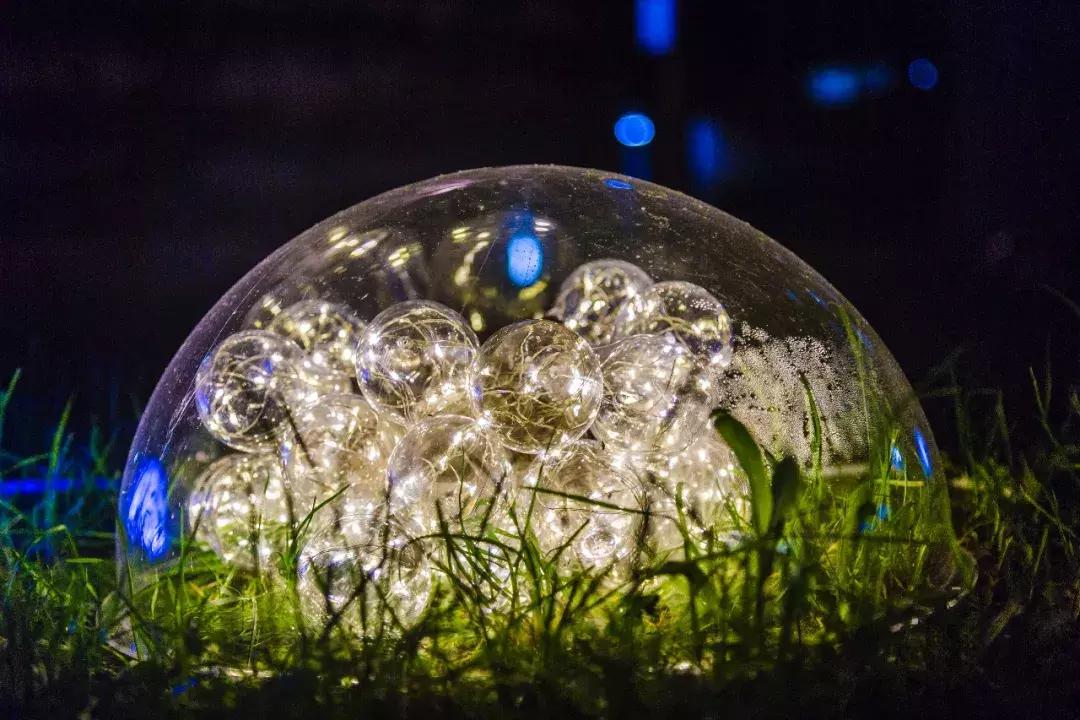 南艺你不知道的事,南艺的真实生活