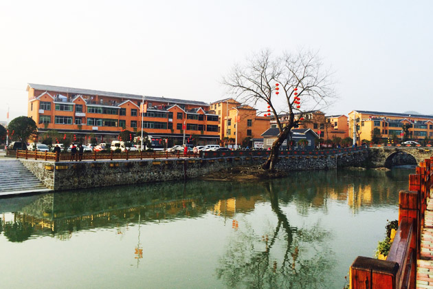 江西宁都小布茶,宁都县小布乡茶叶基地