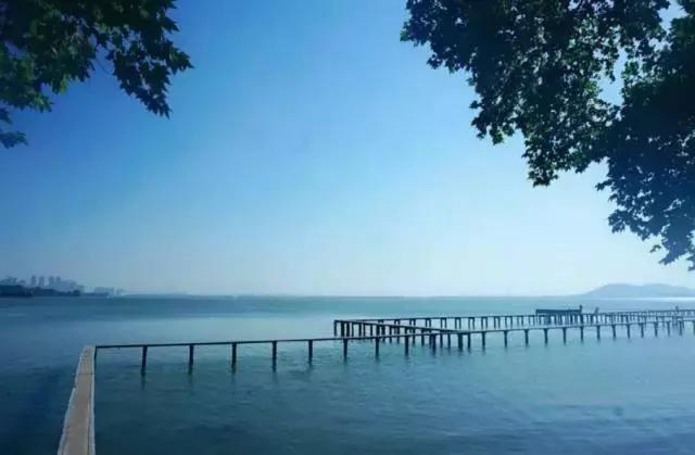 草莓音乐节武汉在室内还是室外,草莓音乐节好不好玩