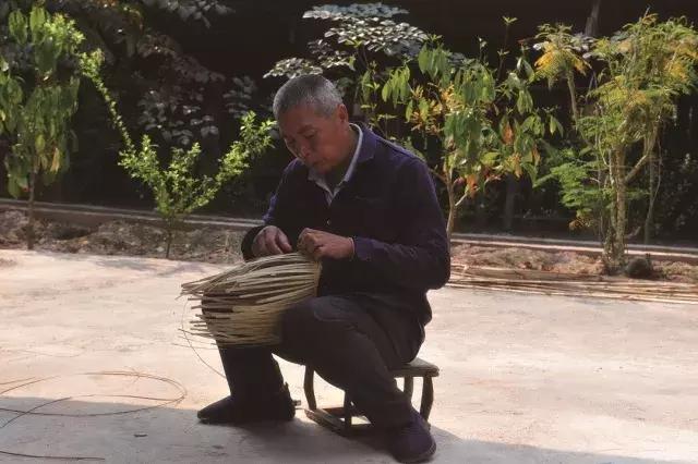 西双版纳旅游发展趋势,世界文化旅游名城西双版纳