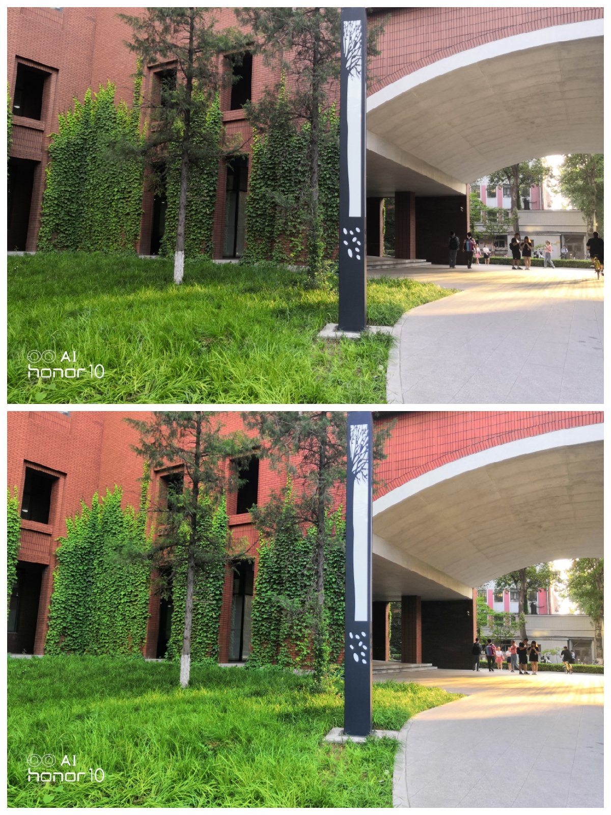 荣耀10拍照片怎么样,荣耀10值得买吗2019